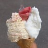 MALGA GELATO - 左からマスカルポーネとオレンジバニラ、チェリー、ライム&レモン