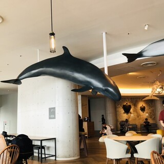 マーメイドギャレー_2