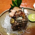 恵比須丸 - さざえは水槽から取り出して刺身に。コロコリしています。