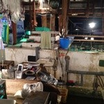 のれんをくぐると水槽が現れます。