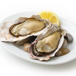 Unglazed Oyster