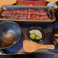 うなぎ四代目菊川 中洲春吉店 - 