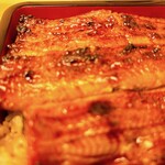 Unagi Shigeta - 