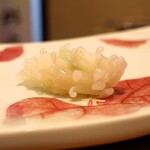 鮨 井上 - ヤリイカ