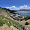 だんだん茶屋 - 絶景でしょ
