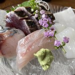 本家 寺津屋 - お刺身4品