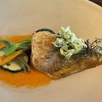 タケル クインディチ(LOQUAT) 西伊豆 -  タケル クインディチ(LOQUAT) 西伊豆 -