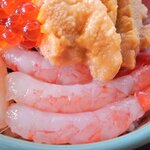 Sawa - お食事処 さわ 「海鮮丼」