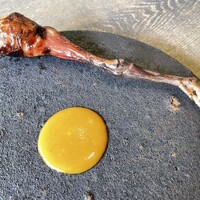 レヴォ - かわいいレヴォ鶏、爪は汗 もっと成長してから食べたい