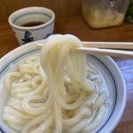 釜あげうどん 長田 in 香の香 - 麺はこんな感じ