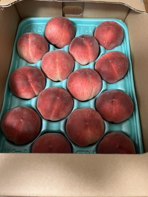 JAふくしま未来農産物直売所 ここら矢野目店 - 卸町（その他）の写真