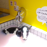 ゲロ ゲロ バター スタンド - バターミルクの足湯