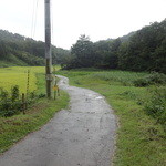 時季の森 - 店までの道の途中‥