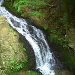 店からの滝の景色