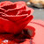 ル スプートニク - 料理写真:フォアグラとビーツのバラ 
