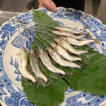 炭の音 あすと - 