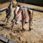 炭劇場 徳永座 - 