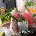 Sousaku Washoku Koshitsu Izakaya Momiji Tou - ◆鮮魚のお造り五種盛り　一人前