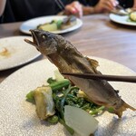 テッラ イタリアーナ - 