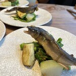 テッラ イタリアーナ - 