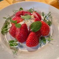 ラ・ビスボッチャ - 