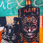 ビバ・メキシコ - 