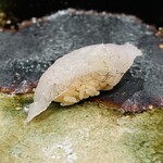 江戸町 すぎもと - 