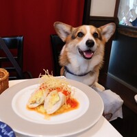 フリコトー - 