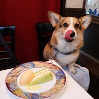フリコトー - 