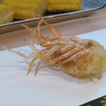 天風楽・ブランド松葉蟹 松屋町 青天 - 