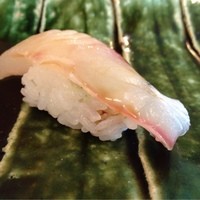 鮨長 - 縞鯵