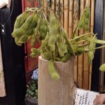 月島 - お通しの枝豆ツリー。これだけでも呑めます。
