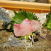 すし屋のさい藤 札幌本店 - 