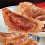 新ちゃん - ぎょうざ　底面