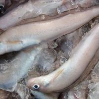幻魚の唐揚