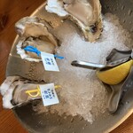 Oyster & Italian ジャックポット - 