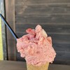 Gelato & Caffe Costavita - 