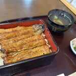 Unagi Ichifuji - 