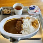 甲武信小屋 - 夕食のカレー