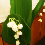 さんぽう - テーブルに飾られていたスズラン