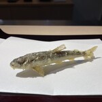 Tempura Ginza Yokota - 