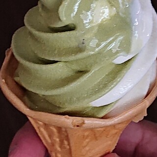 茶のまるいち園_1