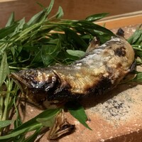 浅草じゅうろく - 長良川の鮎