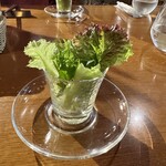 Mori no Naka no Restaurant Kodou - 