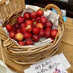 笑夢 - サービスのプラム