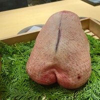 Metis 六本木 - 青森県産の＂銀の鴨＂