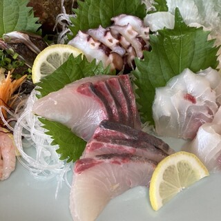 いけすてら崎_0