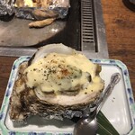 たぬき ラクーンドッグ - 