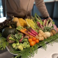 レフェルヴェソンス - 