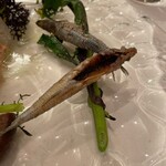 フラットリア - 